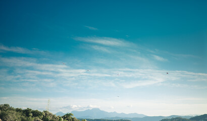 Fototapeta premium sea, sky and birds