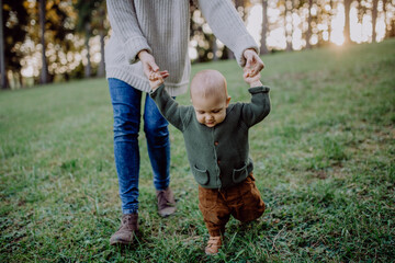 Fototapeta premium Mother holding hands of her baby son when walking in nature, baby's first steps concept.