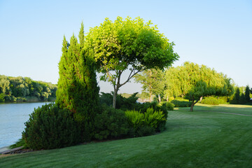 Landscaping in the park with pond. landscape designer services.