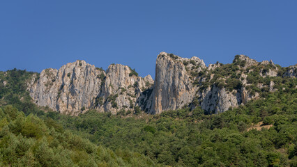 Fototapeta na wymiar Colorful summer landscape panorama of rocky mountain ridge emerging from forest in the Aude Pyrenees near Salvezines, France