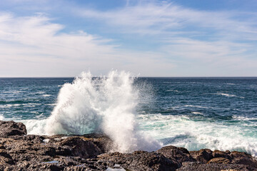 Fototapeta na wymiar A view on Pacific ocean, cast, rocks and waves