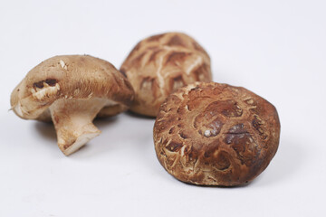 raw champignon mushroom on white background 