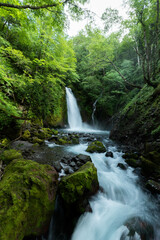 Naklejka premium 滝