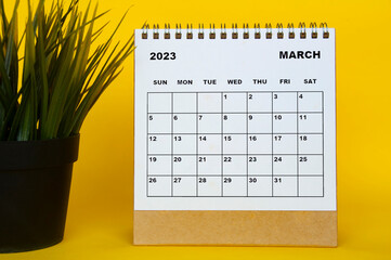 March 2023 desk calendar with table plant on yellow background.