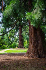 Fleur, papillon, cascade d'eau, rivière... florilège de la nature et beauté environnante.