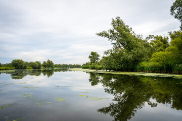 Fototapeta na wymiar lake and trees, De Biesbosch