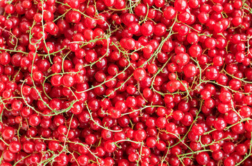 Background of red currant. Ripe, juicy, tasty currant close-up. Berry background. Top view.