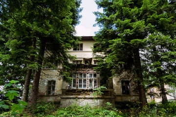 Abandoned house in the forest