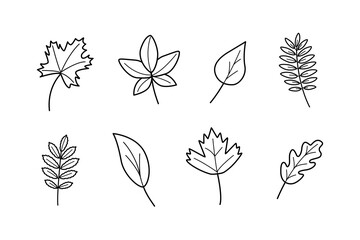 Tree leaves, doodle set of leaves, maple oak viburnum aspen birch rowan. - obrazy, fototapety, plakaty