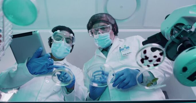 Life science researchers experimenting with a covid cure or bacteria and infectious cells. Protected scientists or doctors working in a lab analyzing medical exam results for a clinical trial.