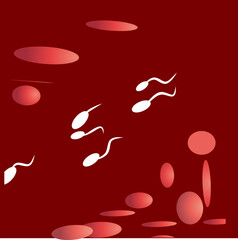 sperm cell vector illustration