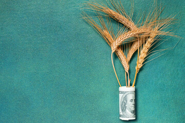 Ripe ears in rolled-up dollar banknotes