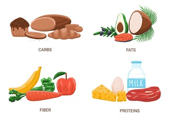 Carbs, proteins, fat and fiber food group in cartoon style