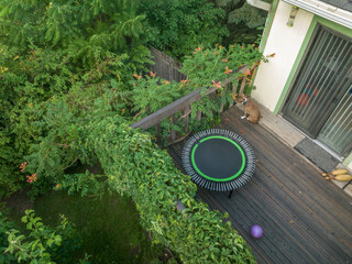 mini trampoline for fitness exercising and rebounding and other fitness equipment in a backyard patio, aerial view
