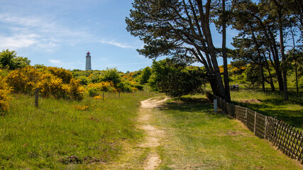 impressions and motifs from german island hiddensee © scimmery1