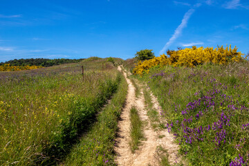 impressions and motifs from german island hiddensee