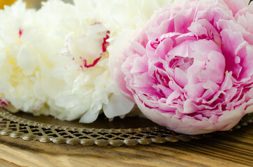 peonies, white and pink, on a copper tray