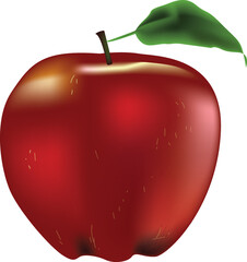 Vector Realistic Red Apple. 3d Illustration Isolated On white background.