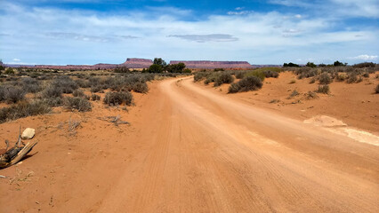 Dirt Road in the Utah Desert