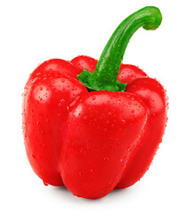 one red sweet bell pepper isolated on white background. clipping path