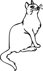 Cat doodles in abstract hand drawn style, black and white line art vector illustration.Doodle style cat.Day of the cat.