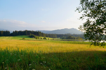 Obraz premium hiking trail overlooking scenic Attlesee in the Bavarian Allps, Nesselwang, Allgaeu or Allgau, Germany