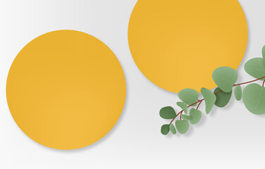 Realistic 3d scene for cosmetics, eucalyptus leaves and stand vector, geometric form banner, modern scene for product, plant and geometric form