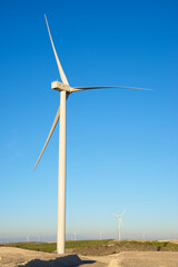 Fototapeta premium Green energy concept view
