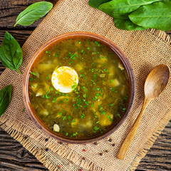 Sorrel soup in bowl. Traditional russian green soup with sorrel