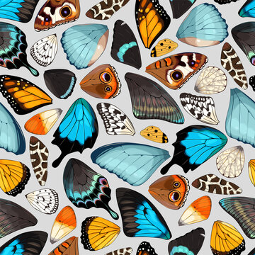 Butterfly and moth wings vector seamless pattern