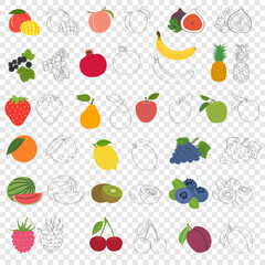 Set of fruits and berries with vitamin C - flat cartoon vector illustration. Doodle template for children's educational coloring books and packaging for juices and diet food.