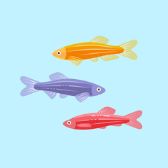Colorful danios aquarium fish. Flat vector isolated illustration.