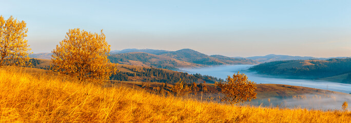 Beautiful panorama of autumn mountains, trees on a mountain hills. Morning fog in valley between mountain slopes. © stone36