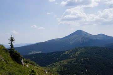 Fototapeta premium nature in the mountains in summer