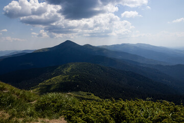 nature in the mountains in summer