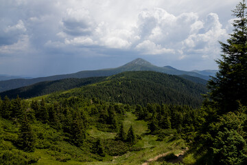 Fototapeta premium nature in the mountains in summer