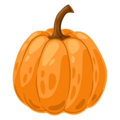 Illustration of pumpkin. Decorative image of autumn vegetable.