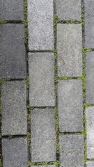 stone pavement texture