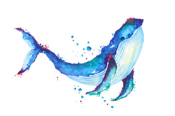 Whales painted with watercolors.Underwater animal illustration.Fish painting is swimming.Abstract style.