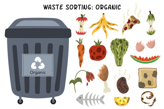 Organic garbage sorting set. Grey trash can for organic waste with rotten fruits, vegetables and other food. Separating and recycling objects collection. Vector illustration