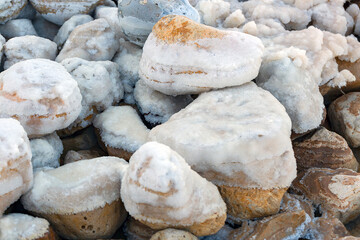 The stones are covered with a crust of salt. Surface rock covered with salt on coast of Dead sea....