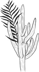 Cactus Art Illustration