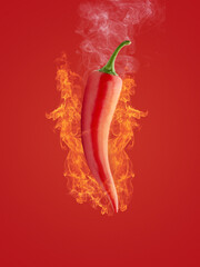 Red chili pepper with hot burning flame and smoke on red background. Food creative concept. Concept spicy and hot.