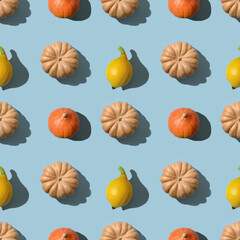 Seamless pattern of different colorful pumpkins with shadow on blue background. Autumn harvest eco concept. Thanksgiving day.