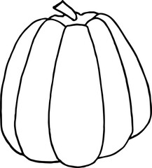 Pumpkin illustration. Hand-drawn doodles illustration.
Line art.