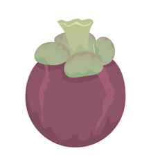 fruit mangosteen icon