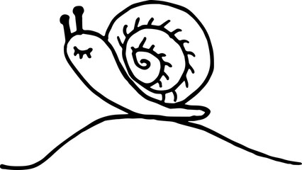 Snail Illustration.  Hand-drawn doodles illustration.
Line art.