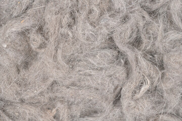 Contents vacuum cleaner garbage, trash, dust, animal hair background texture. close-up