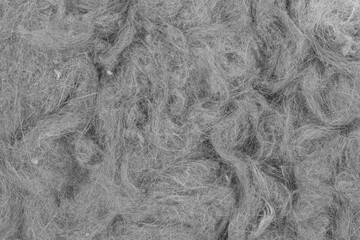 Contents vacuum cleaner garbage, trash, dust, animal hair background texture. close-up