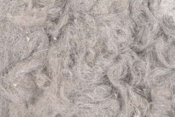 Fototapeta premium Contents vacuum cleaner garbage, trash, dust, animal hair background texture. close-up